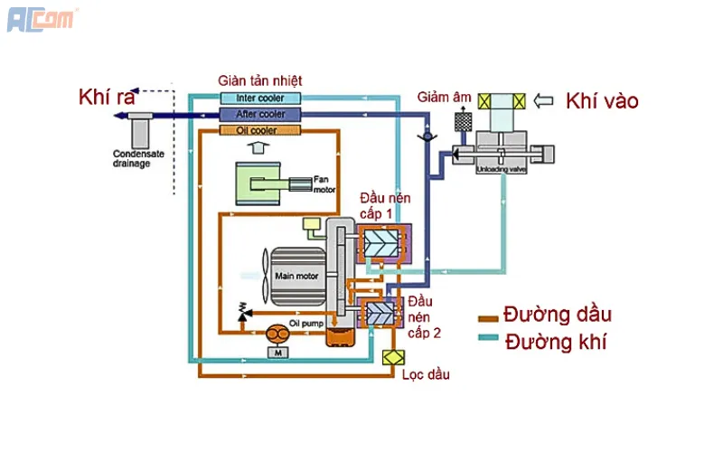 Nguyên lý hoạt động máy nén khí trục vít không dầu